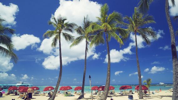 法國尼斯+戛納+昂蒂布+全區域任選｜中文司機【全境可定制】