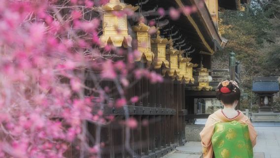 Osaka Departure: Kyoto Highlights Day Tour to Kiyomizu-dera Temple + Geisha District Gion + Nara Deer Park (9-Person Group)