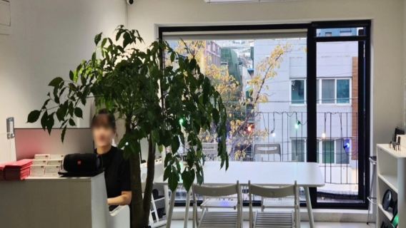 Unlock Your Perfect Color Palette | Seoul Personal Color Analysis & Makeup Consultation