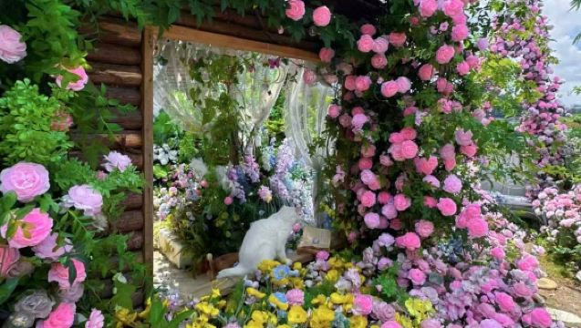 法國巴黎凡爾賽宮+莫奈花園和故居+吉維尼小鎮（中文不含門票）