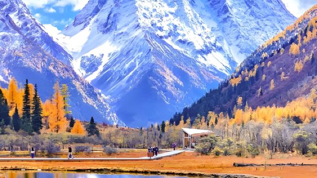 เฉิงตู ไปกลับ: ทัวร์ 1 วัน อุทยานแห่งชาติซื่อกูเหนียงซาน (Shuangqiao Valley) + จุดชมวิว Maobliang (เหมารถพร้อมคนขับ)