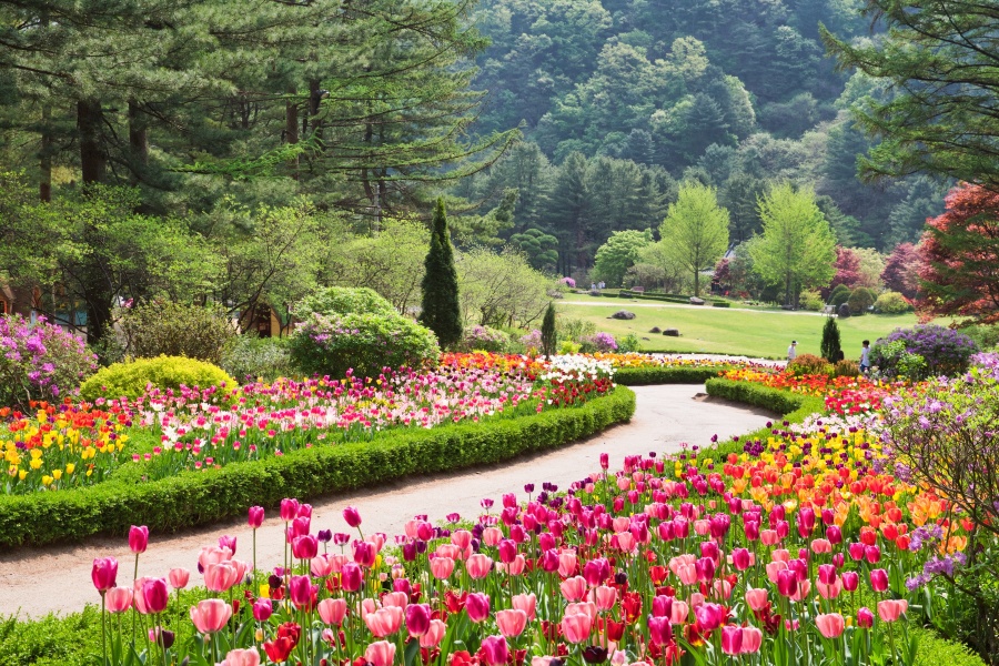 Pinggiran Seoul | Sewa Kendaraan Pribadi untuk Grup | Pulau Nami + Sepeda Rel + Taman Pohon Wonju Mo