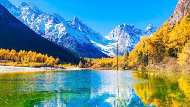 成都-四姑娘山接駁車【2+1保姆大巴】去程·回程 | 可到雙橋溝/長坪溝