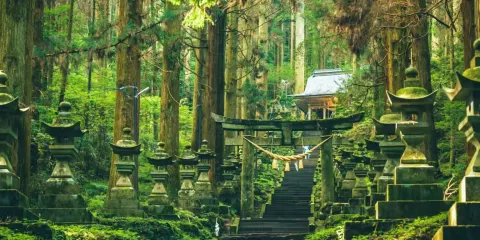 熊本出發阿蘇火山+草千里+上色見熊野座神社一日遊【中文司機】