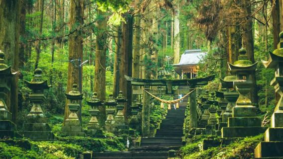 Berlepas dari Kumamoto Gunung Berapi Aso + Padang Rumput Kusasenri + Kuil Kamishikimi Kumanoza lawatan sehari [Pemandu berbahasa Cina]