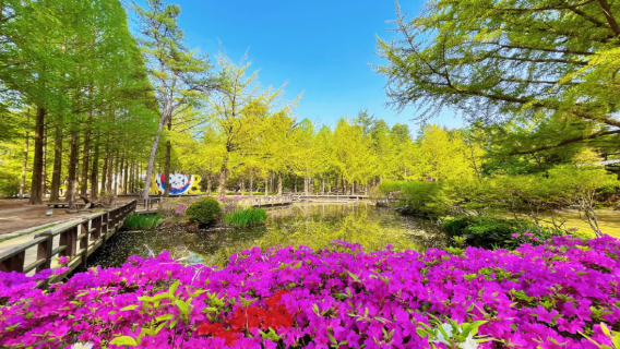 Seluruh Seoul, Korea Selatan penterjemahan profesional | Pemandu pelancong & pengiring pelancong / Tersuai peribadi eksklusif