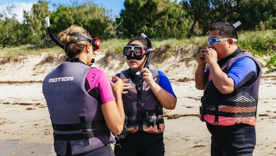 Gold Coast: Tour de kayak y esnórquel en la Isla Wave Break