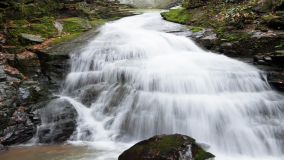 Desde Hangzhou: Excursión de un día a las Cien Cascadas del Dragón Escondido de Anji + pradera de cien hierbas de Zhongnan con servicio de coche privado con conductor