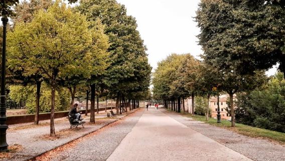 Lucca: Guided Walking Tour