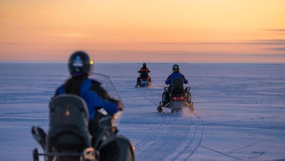 Kemi-Tornio: Snowmobile Forest Safari w/ Hot Drink & Snacks