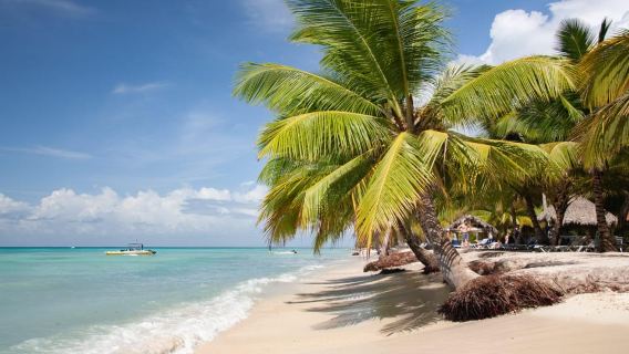 From Punta Cana: Saona Island Sightseeing Tour by Boat with Open Bar and Buffet