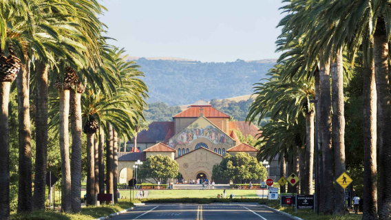 [San Francisco] Visita guiada de 2 horas por la Universidad Stanford | incluye entrada a la Torre Hoover
