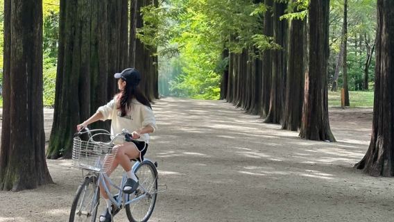 韓國南怡島一日遊丨小法國村丨江村鐵路公園丨中文服務丨獨立包團出行