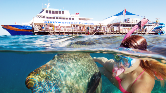 CairnsTours