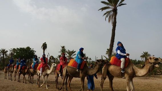 MarrakechTours