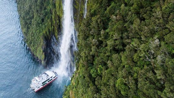 WellingtonTours