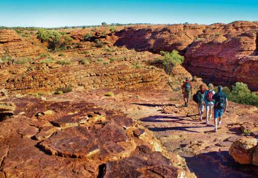 Northern Territory Uluru Kings Canyon Carpark 1-day tour [Watarrka National Park + Hiking + Transfers]