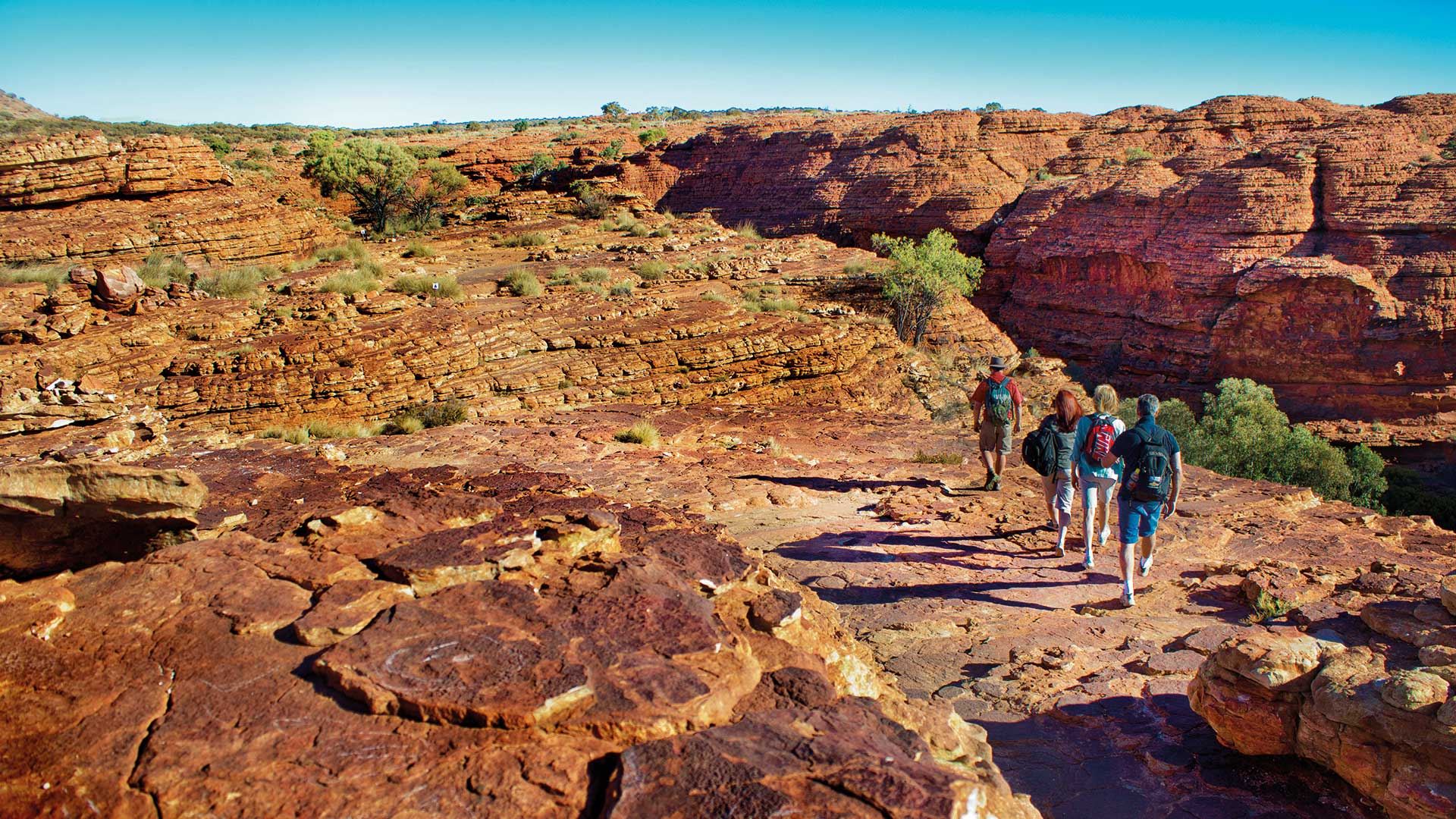 Northern Territory Uluru Kings Canyon Carpark 1-day tour [Watarrka National Park + Hiking + Transfers]