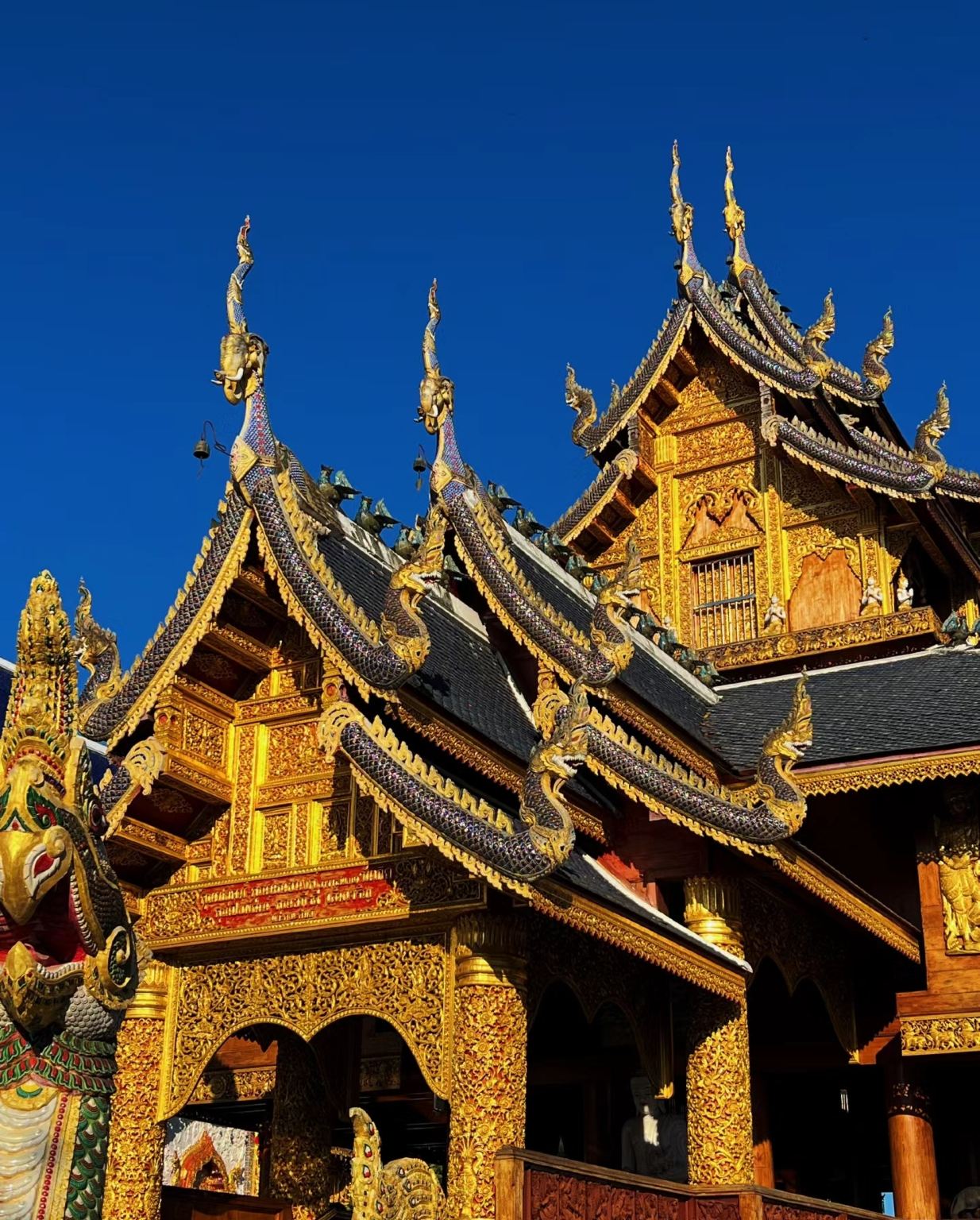 ทัวร์ครึ่งวันอุทยานแห่งชาติน้ำตกบัวตอง-น้ำพุเจ็ดสี เชียงใหม่ [อุทยานแห่งชาติน้ำตกบัวตอง-น้ำพุเจ็ดสี/วัดเด่นสะหลีศรีเมืองแกน (วัดบ้านเด่น)/บริการรับส่งจากโรงแรม]