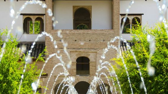 Alhambra e Palazzi Nasridi: biglietto salta fila + visita guidata