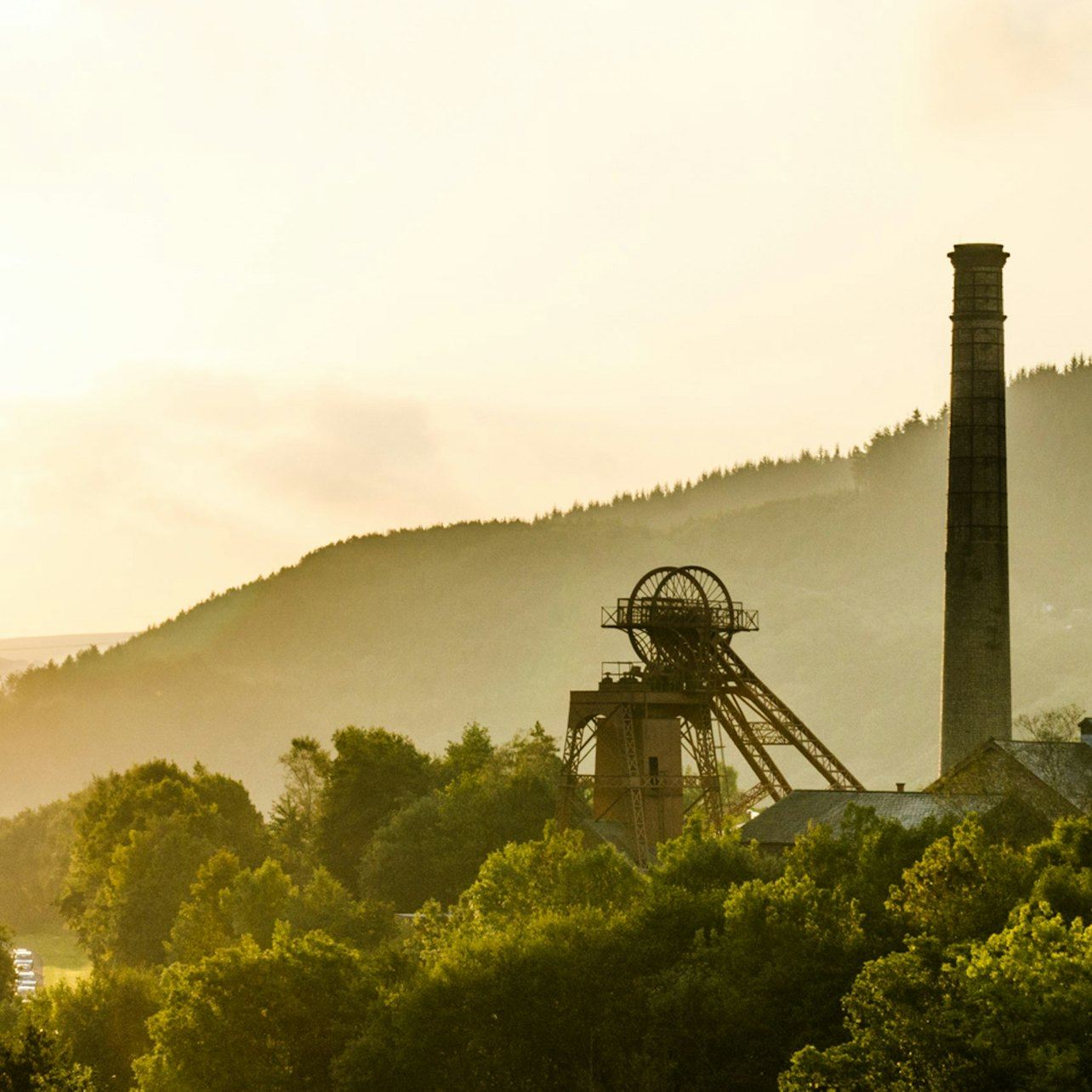 The Black Gold Underground Experience