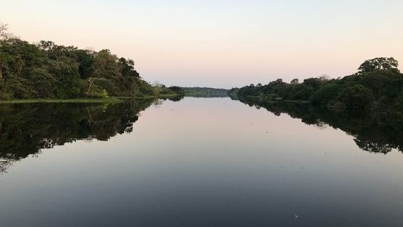 Manaus