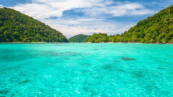 Islas Surin: Excursión de snorkel desde Phuket + traslado de ida y vuelta en lancha rápida