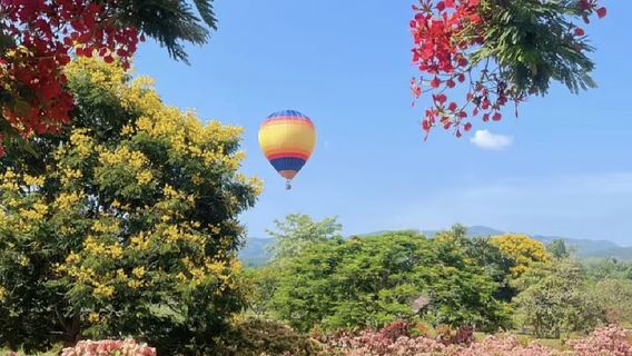 YulongTours