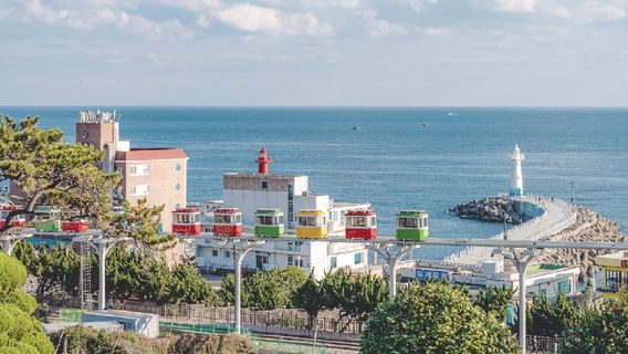 부산데이 투어
