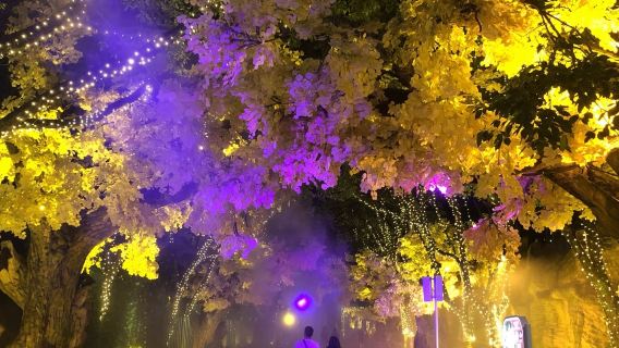 Хэндянь, Донян, провинция Чжэцзян: услуги гида, включая перевод, сопровождение, а также поддержку на английском, русском и японском языках