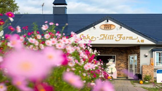 Wisata Sehari di Hokkaido: Pemandian Air Panas Danau Toya, Gunung Berapi Jigokudani, dan Peternakan Beruang Lucu|Berangkat dari Sapporo