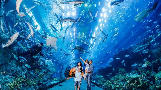 杜拜城市觀光、杜拜購物中心水族館及動物園、哈利法塔148樓觀光連接送