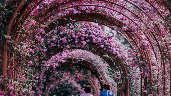 新加坡市區包車一日遊-經典之旅-可多日包車-精選