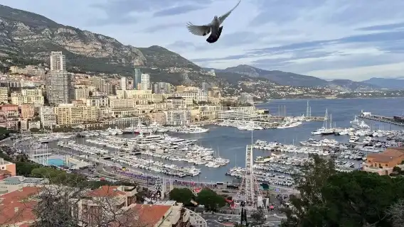 France Nice French Riviera + Monaco + Eze Village Half-Day Tour [Solo Traveler Friendly | Hotel Pickup and Drop-off]