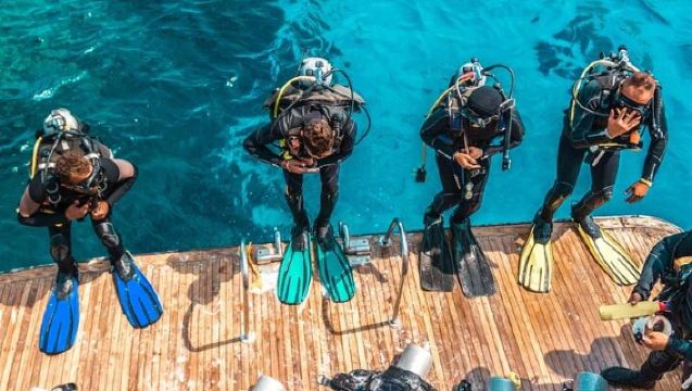 Snorkeling and Diving to Ras Mohamed And White Island by VIP Boat