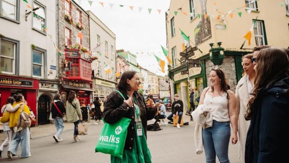 Desde Dublín: Acantilados de Moher y Galway: tour en grupo pequeño