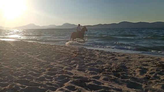 Kos: Experiencia de montar a caballo en la playa con instructor