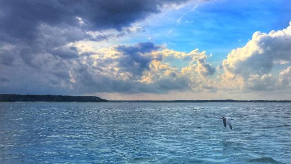 Pulau Hilton Head: Moonlight & Music Sunset Cruise (BYOB)