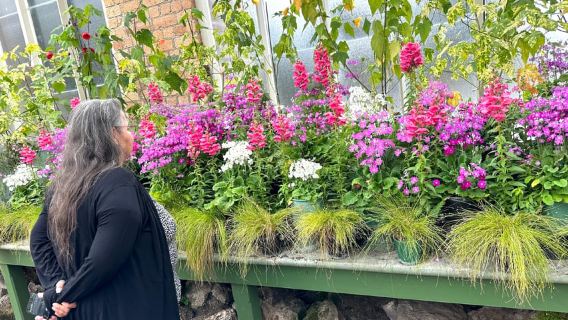 Частный тур на полдня по лучшим местам Окленда