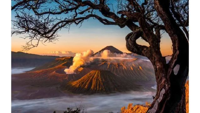 Tour di un giorno al Monte Bromo da Surabaya [Prenotazione per una persona/opzione per auto privata o tour di gruppo/alba/tramonto]