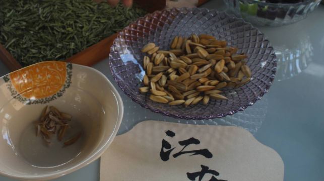 杭州西湖風景區|龍井村茶園徒步+採茶炒茶體驗+品獅峰龍井茶