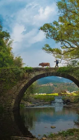 Moon Bay + Shangtan Village + Longwei Village + Three-Eyed Bridge Scenic Area + Chaguan Village + Hongguan + Fengshan Village + Zhangcun Village 1-day tour