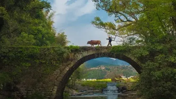 Moon Bay + Shangtan Village + Longwei Village + Three-Eyed Bridge Scenic Area + Chaguan Village + Hongguan + Fengshan Village + Zhangcun Village 1-day tour