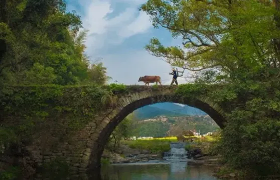月亮灣+上坦村+龍尾+三眼橋+鳳山村+察關+虹關+漳村一日遊