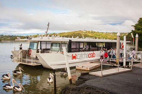 黃金海岸可倫賓動物園+捉蟹一日遊【中文司導+市區範圍接送】