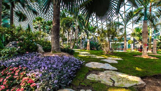 Tagesausflug zu den kulturellen Stätten von Guangfulin in Shanghai, dem Chenshan Botanischen Garten und der Qibao Altstadt „Auf der Suche nach den Wurzeln Shanghais“