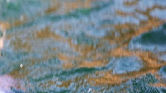 オマーン・マスカト体験ダイビング&シュノーケリング4時間【オマーン・マスカト豪華アラビアンセーリングボートでイルカウォッチング&シュノーケリングツアー162693】