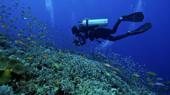 Excursion d'une journée à Semporna en Malaisie : Mabul + Kapalai|Découvrez la beauté naturelle de Semporna, une destination touristique à ne pas manquer.