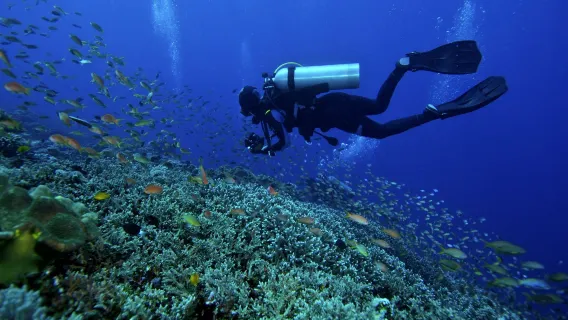 1-day tour to Mabul + Kapalai in Semporna, Malaysia|Semporna's natural beauty. Come to this travel destination and discover its charm.