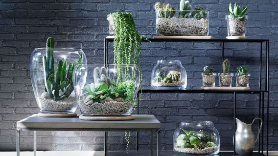 Studio Ayah Ladang|Tuan Paus|Tukang kebun profesional|Pengajaran Hortikultur Korporat|Bengkel Pemuliharaan Alam Sekitar dan Budaya